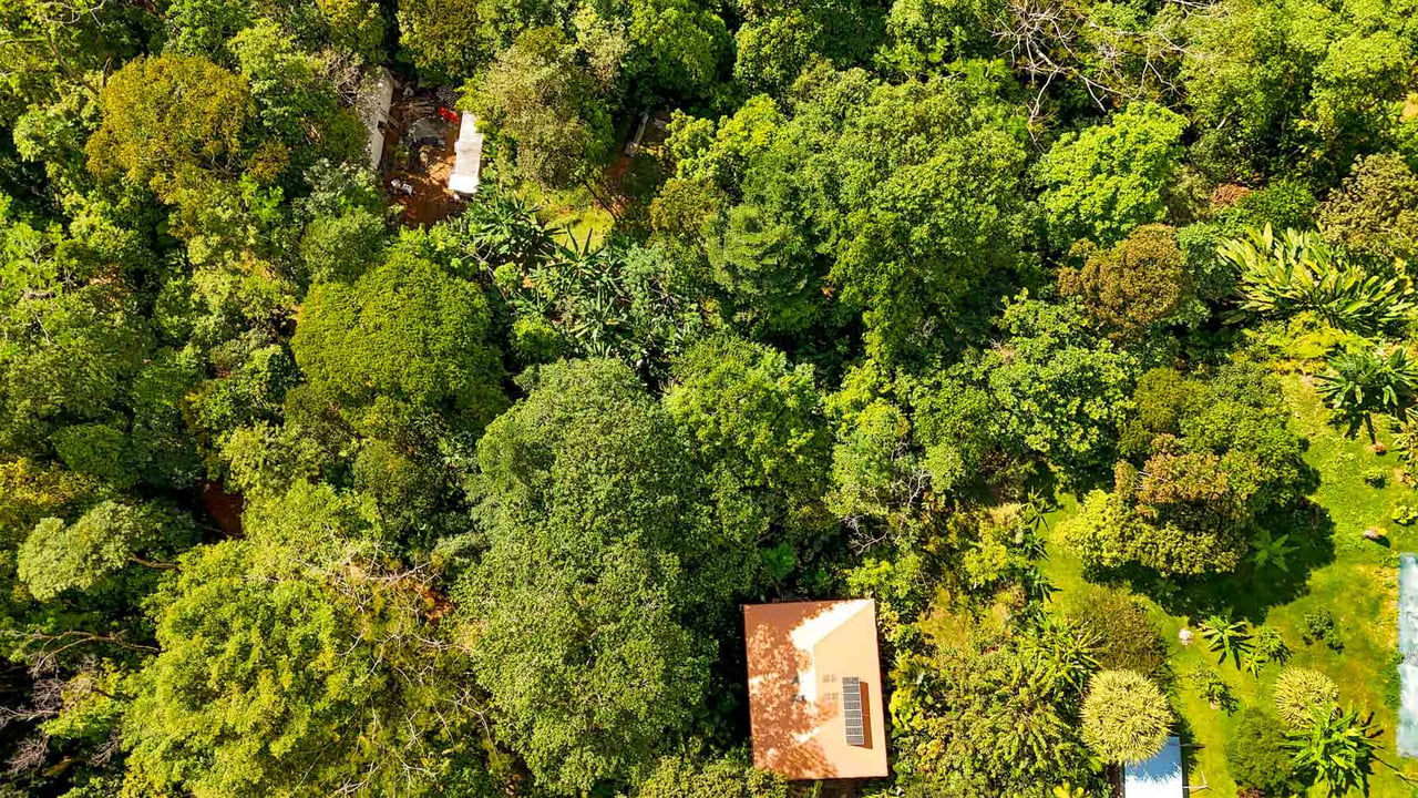 3 Bedroom Rainforest Home in Ojochal With River & Waterfall | 3.5 Acres Private