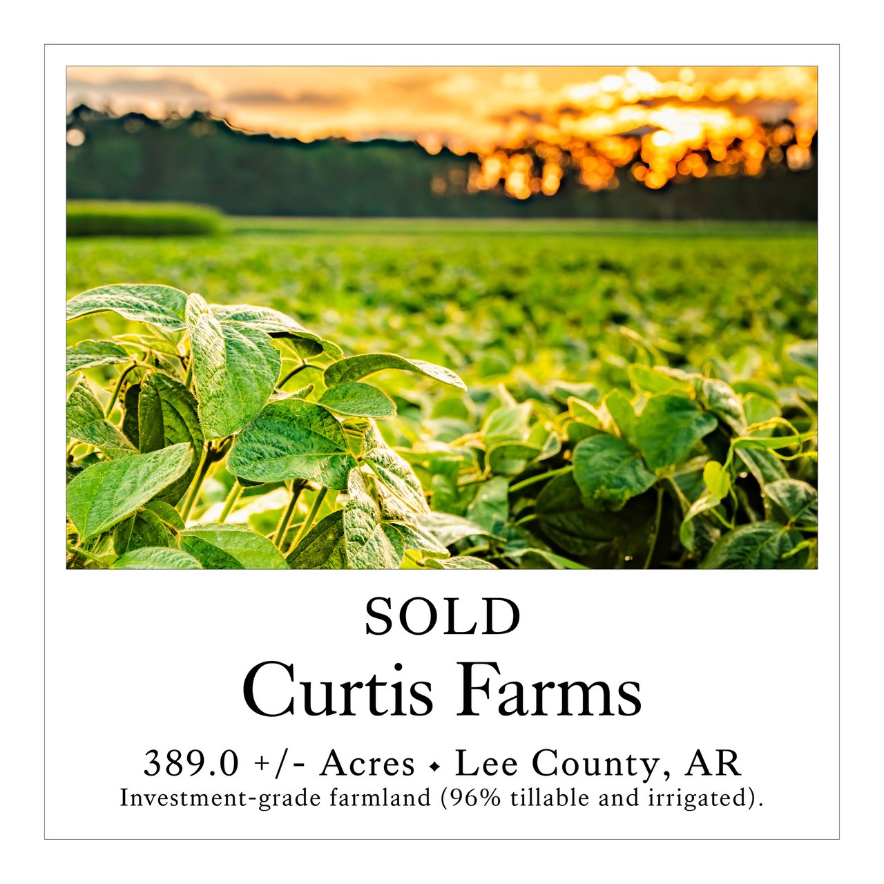 Curtis Farms