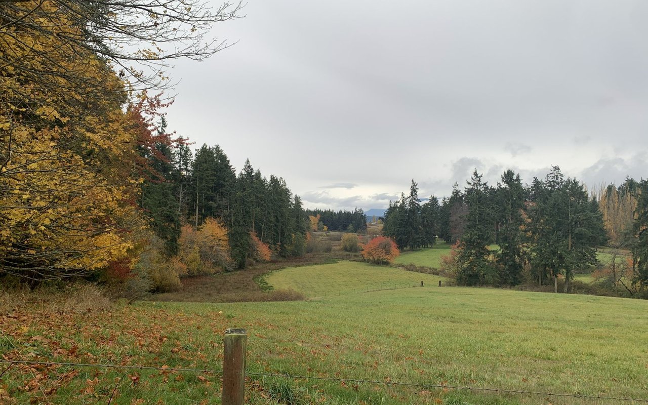 Brinnon