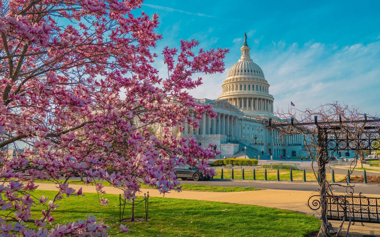 Capitol Hill