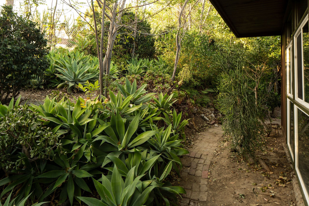 The Robert Pena Rosales Residence, 1952