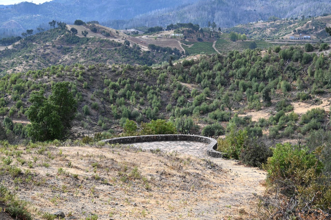 2910 Spring Mountain Rd