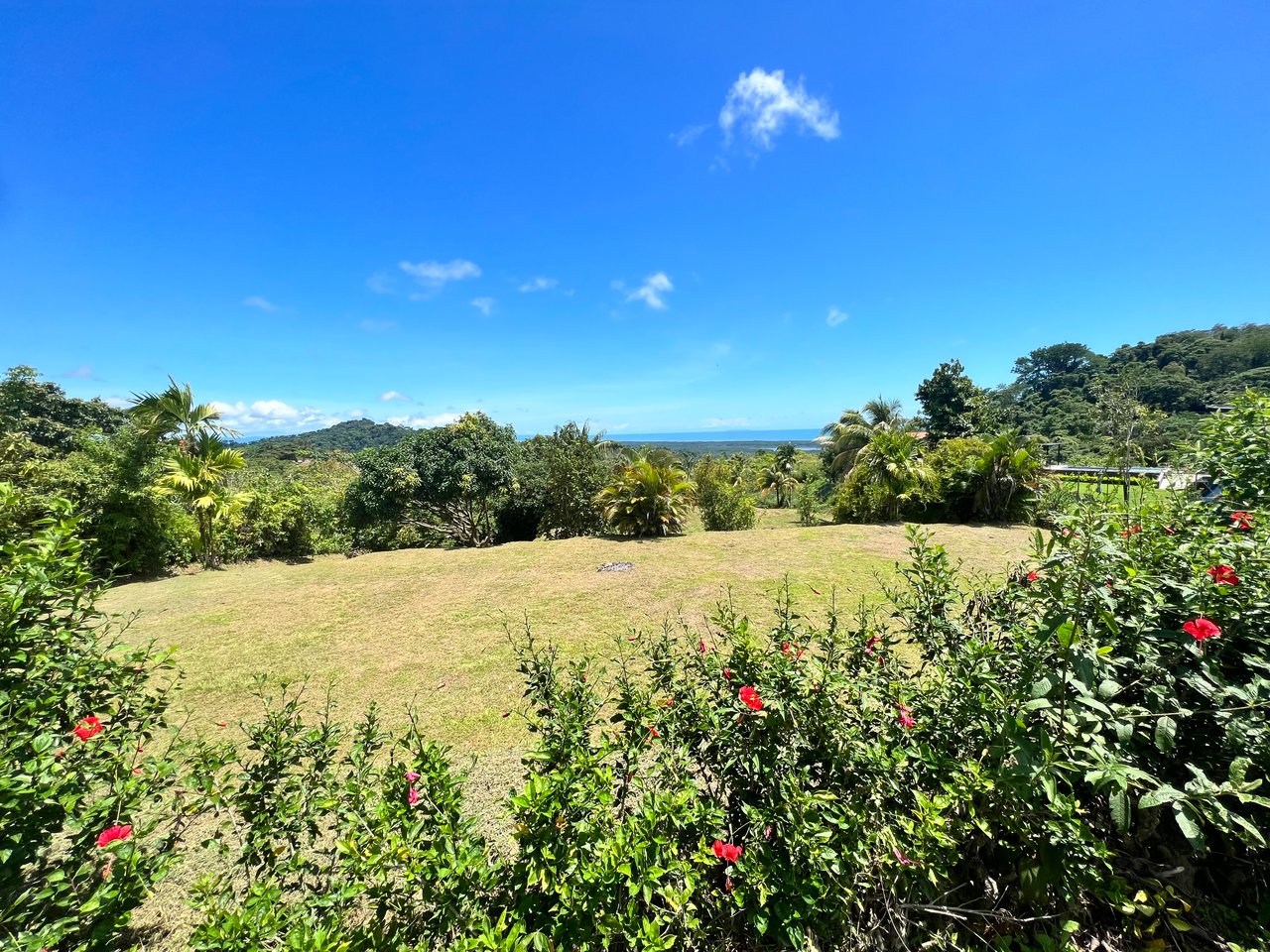 Beautiful Ocean View Lot with Multiple Building Sites with Legal Water