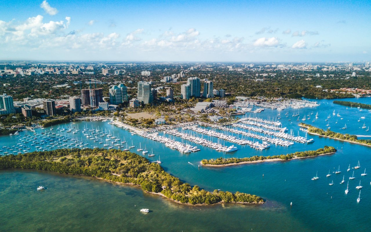 COCONUT GROVE 