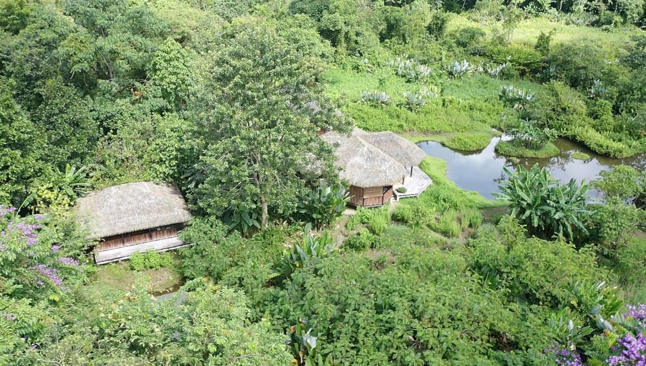 Sustainable Conservation Retreat, Osa, Puntarenas