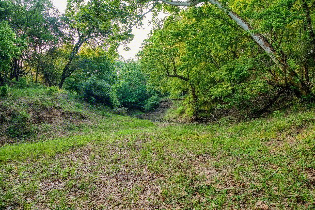 Revival Ranch TX