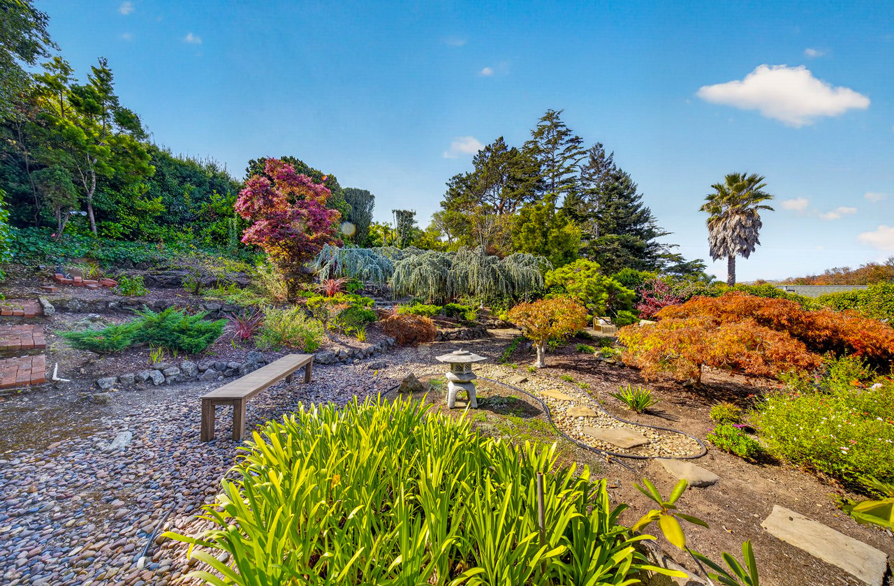 Belvedere Gem on an Incredible Lot