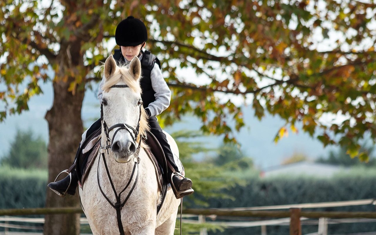 Pat Parelli's Premier Equestrian Center & Ranch in Western Colorado