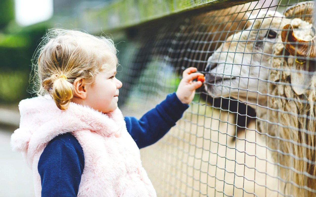 Top Destinations to Unwind in Victoria, TX