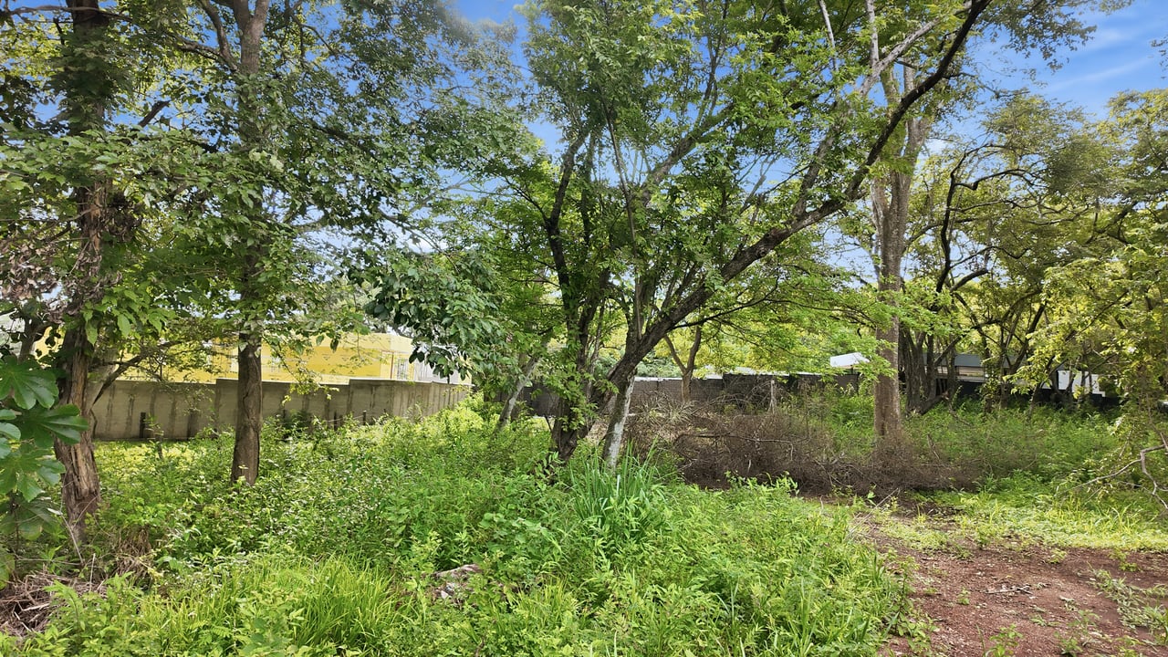 1,000 M2 Coastal Lot with Permits – Playa Grande 