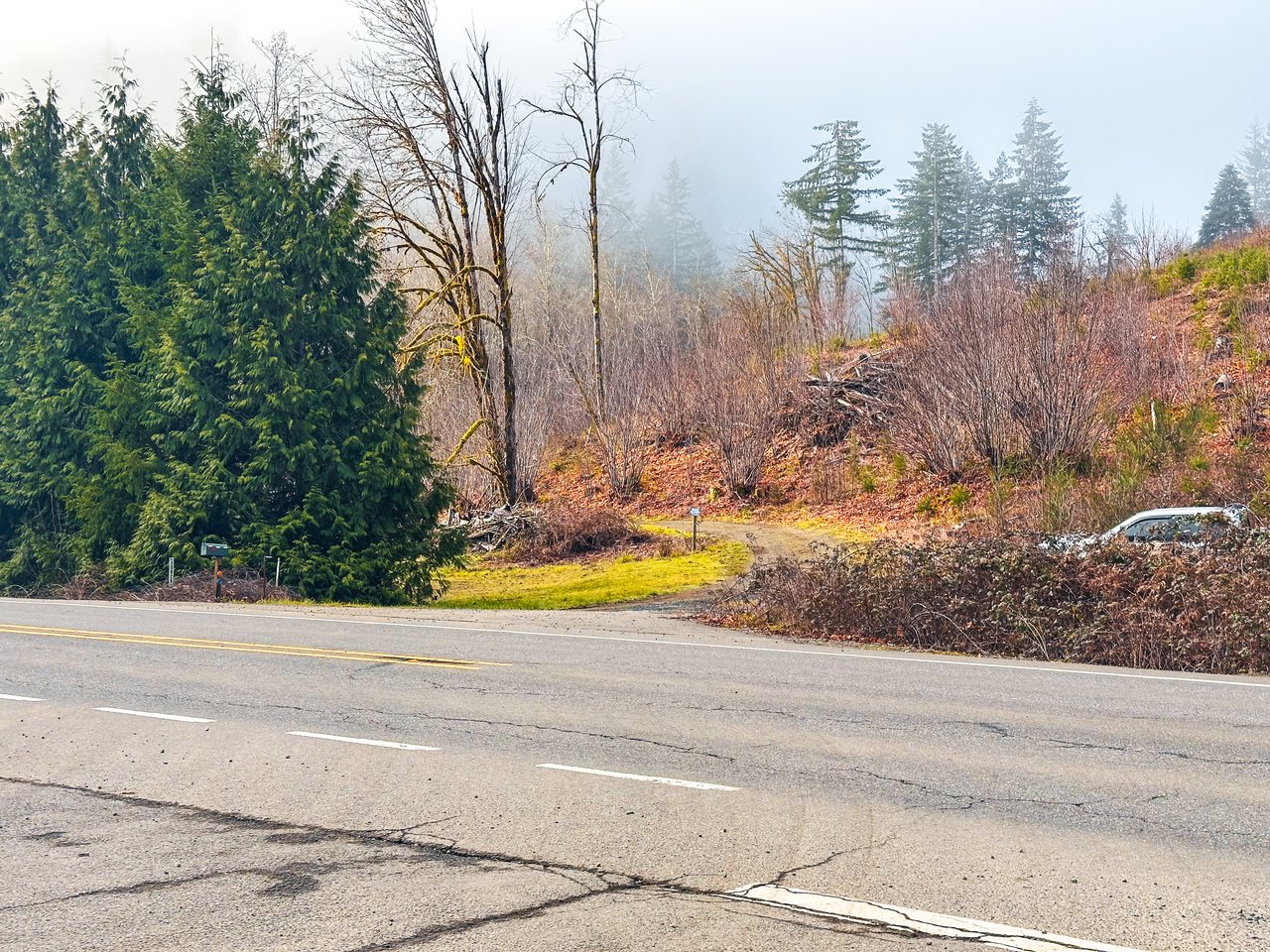 Waite Creek Woodlands