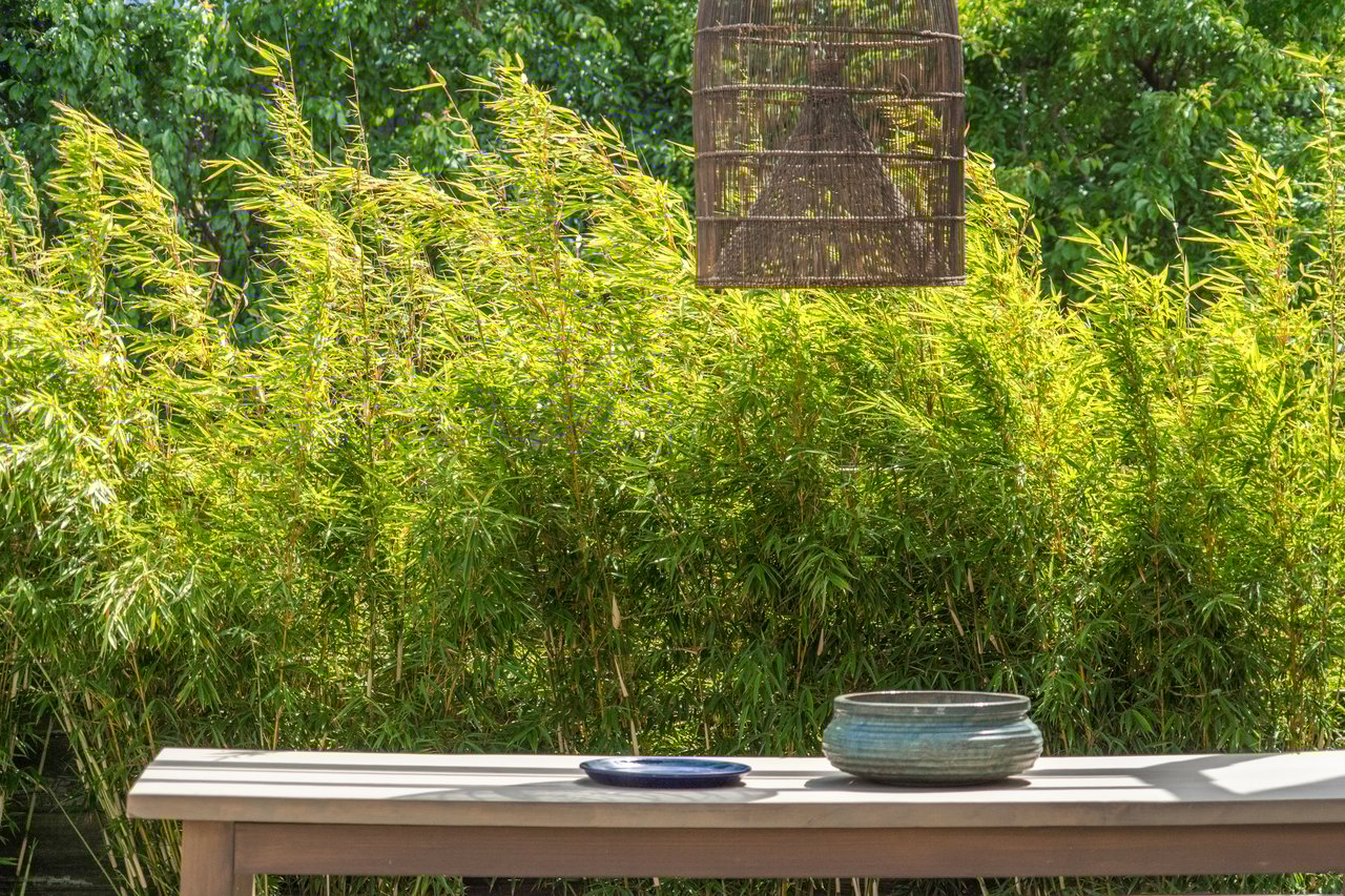 1515 Van Dyke Avenue