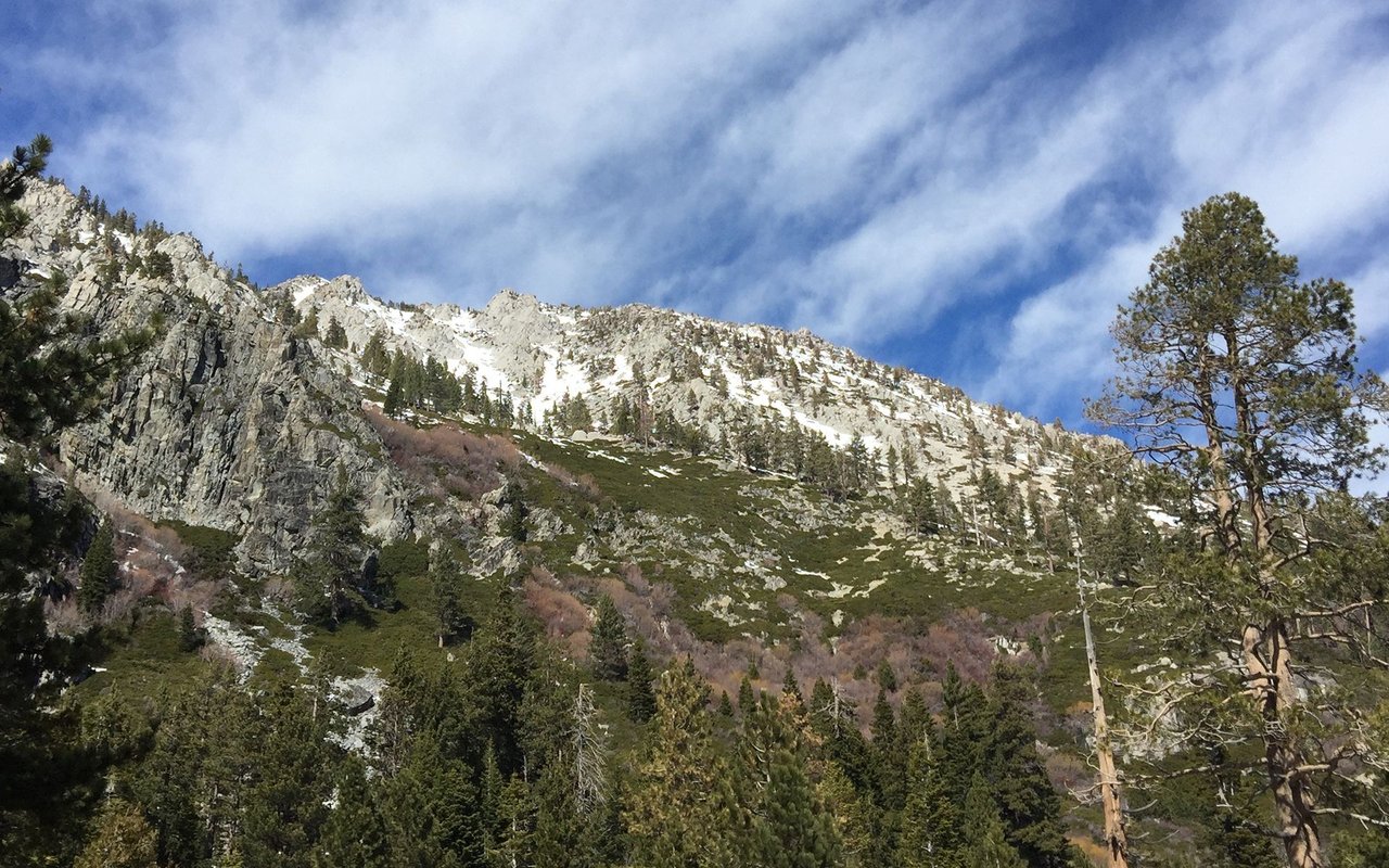 Snow-dusted rocky mountain ridge above evergreen forest beneath a cloudy blue sky.