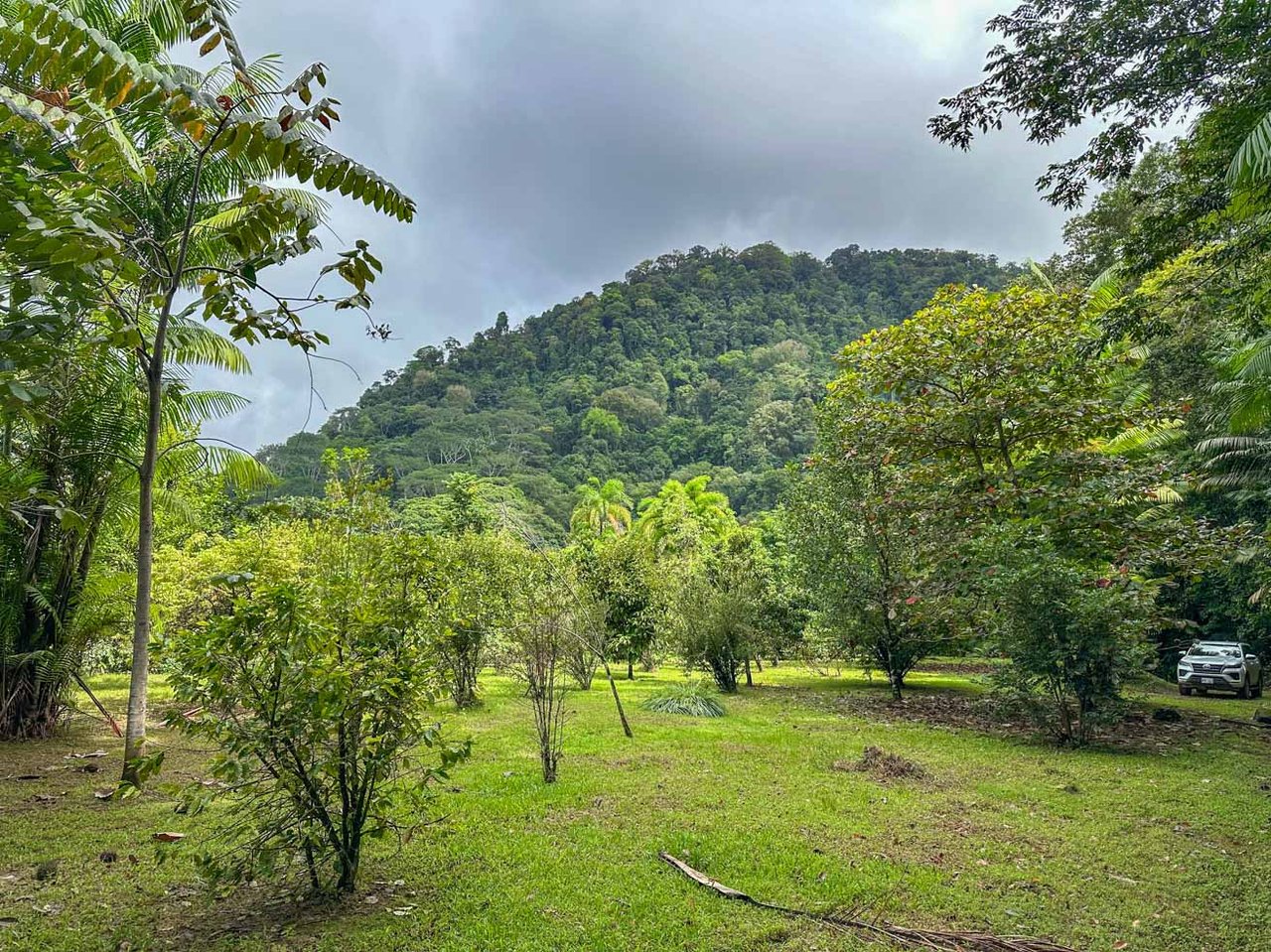 Ocean, jungle & mountain views on a meticulously landscaped 3-home family compound