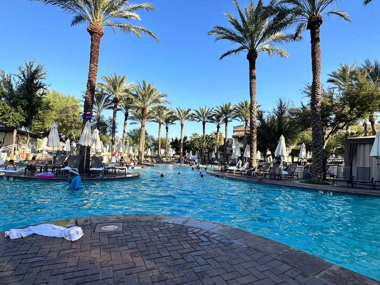 🐶☀️ The Dog Days of Summer: How Arizona Survives 117° Heat 🌵🔥