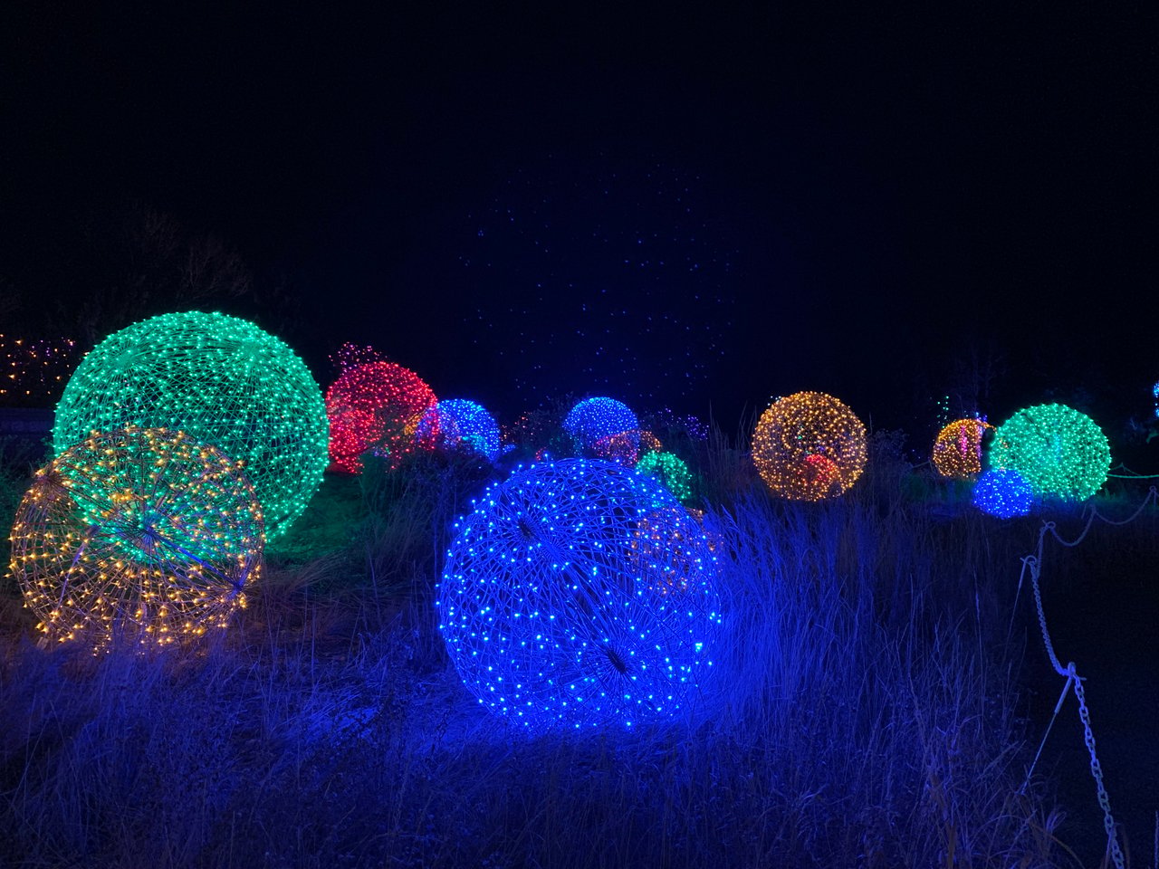 Top 10 Things to Do in Denver This December to Celebrate the Holidays 🎄✨  