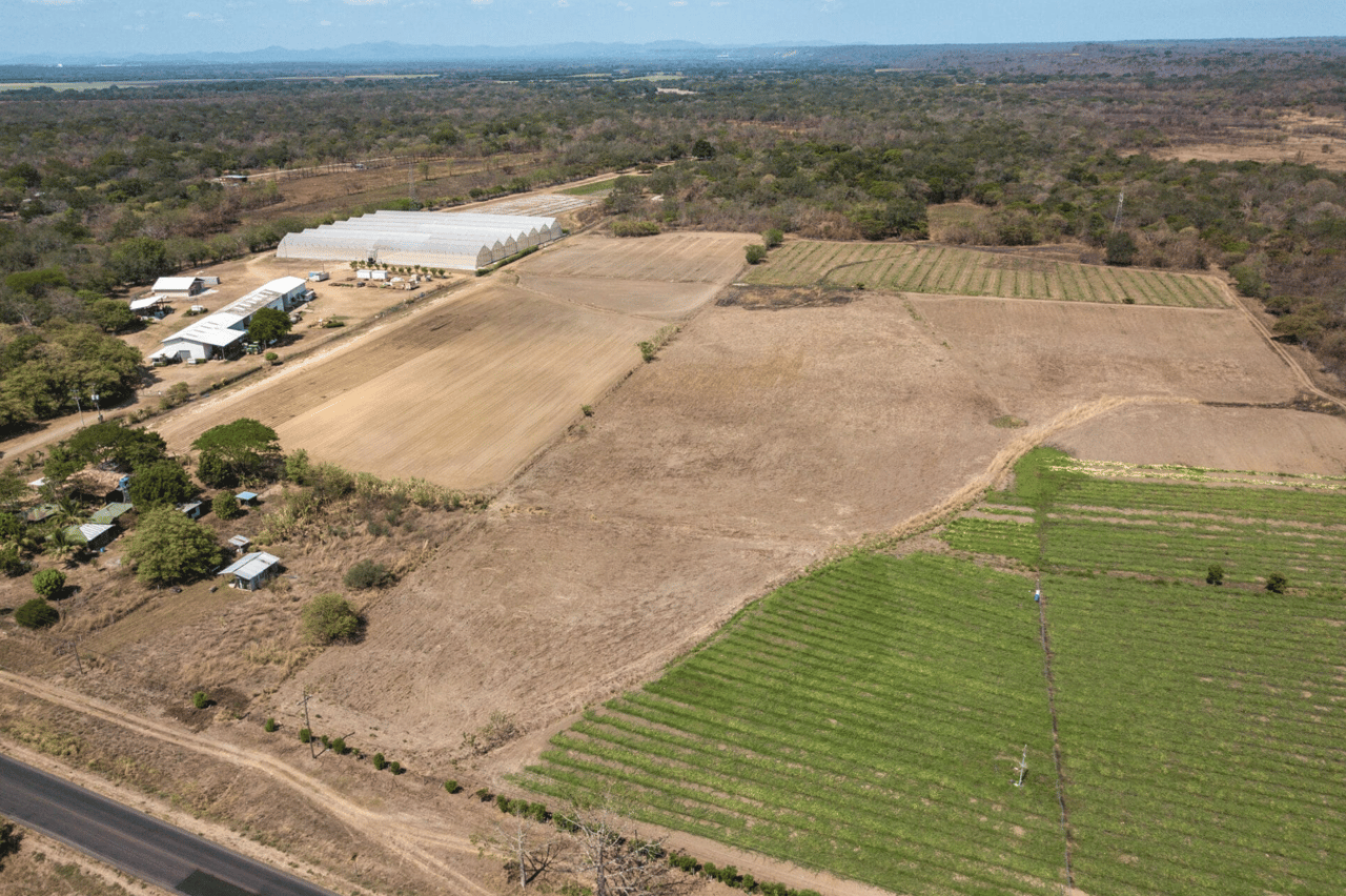 Liberia Canas Dulce 20 Acre Residential Or Commercial Development Opportunity! 