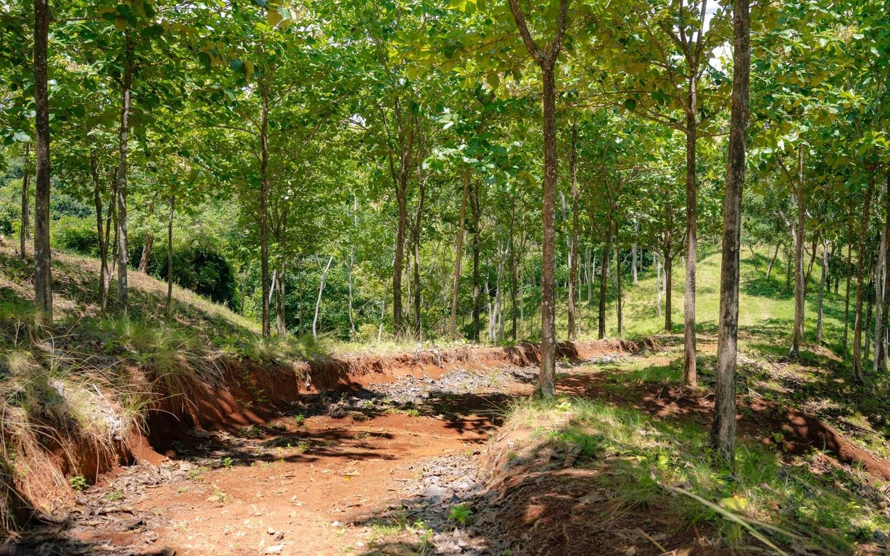 Ocean View Ridge Farm | 135-Acre Estate Near Playa Hermosa, Jacó