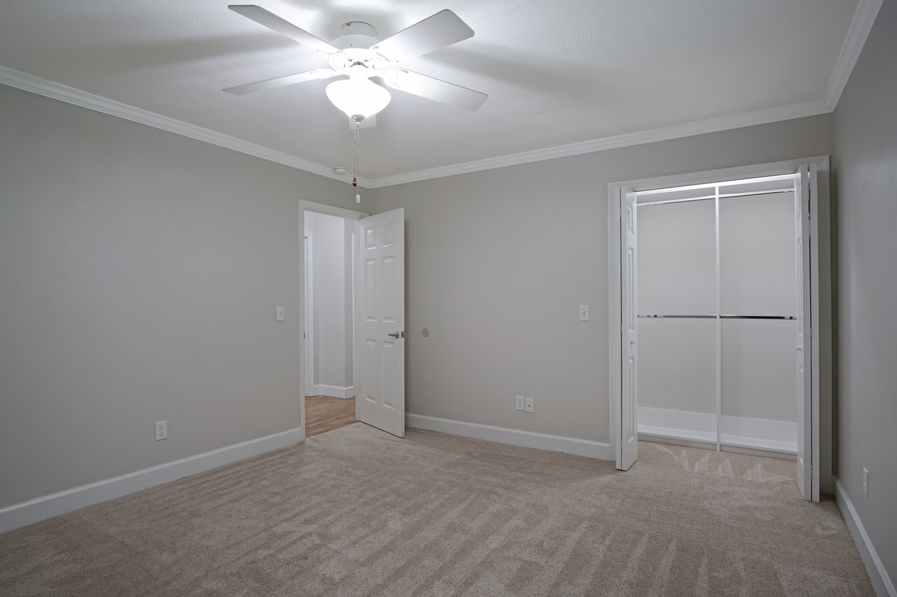 Empty room with beige carpet, light gray walls, ceiling fan, open closet, and a partially open door leading to a hallway with wooden flooring.