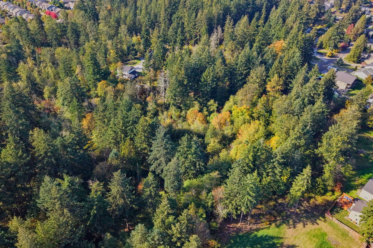 Development Oppourtunity | Lake Tapps Lifestyle at Church Lake