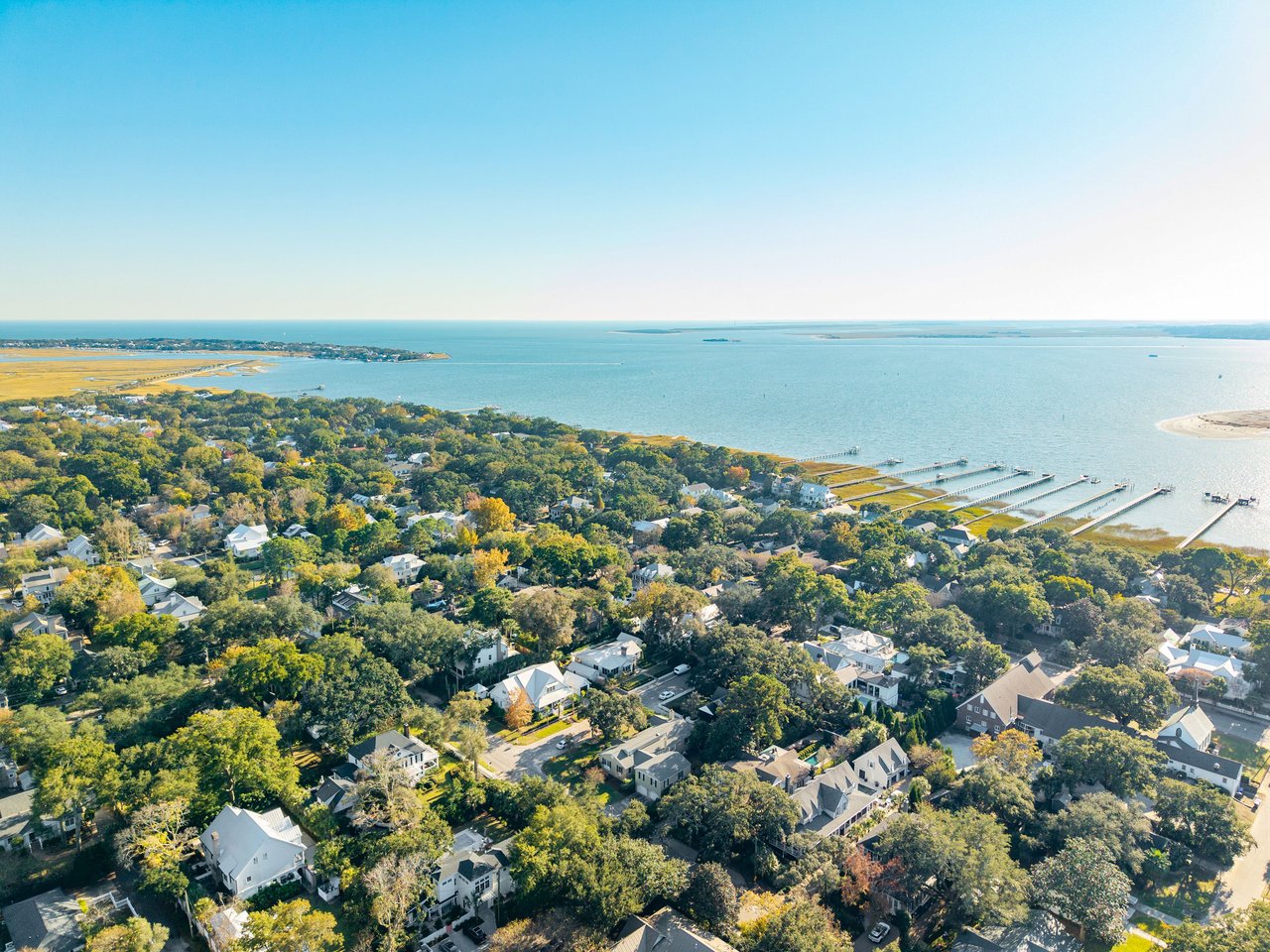 A Guide to South Mount Pleasant Neighborhoods