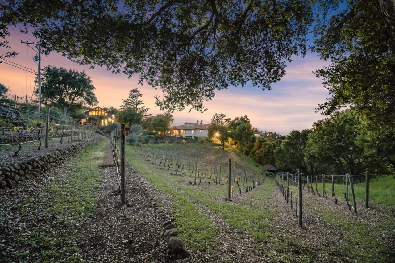 11571 Buena Vista Dr