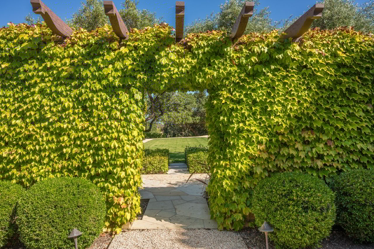 Oakville Vineyard Estate