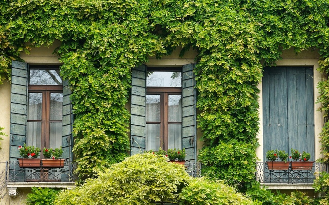 What to Consider When Eyeing a Charming Home in Historic Districts