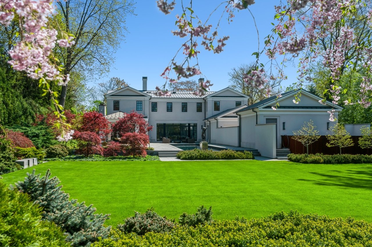 contact-form-background