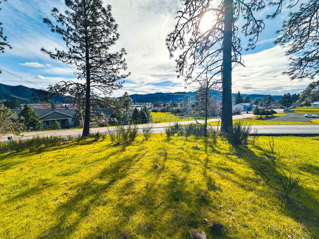 SUTHERLIN WOODLOTS