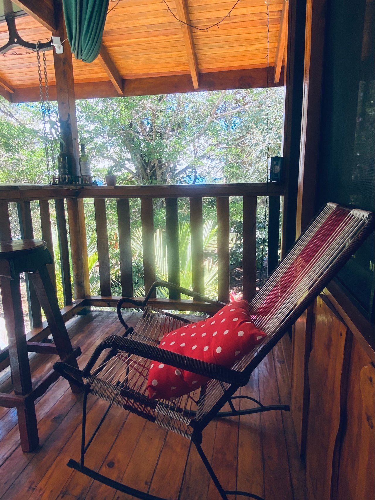 54 Acre Ranch in San Vito, Coto Brus