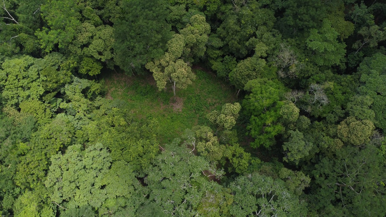 Jungle Oasis with River Frontage Near Dominical – 5.2 Acres of Pure Nature