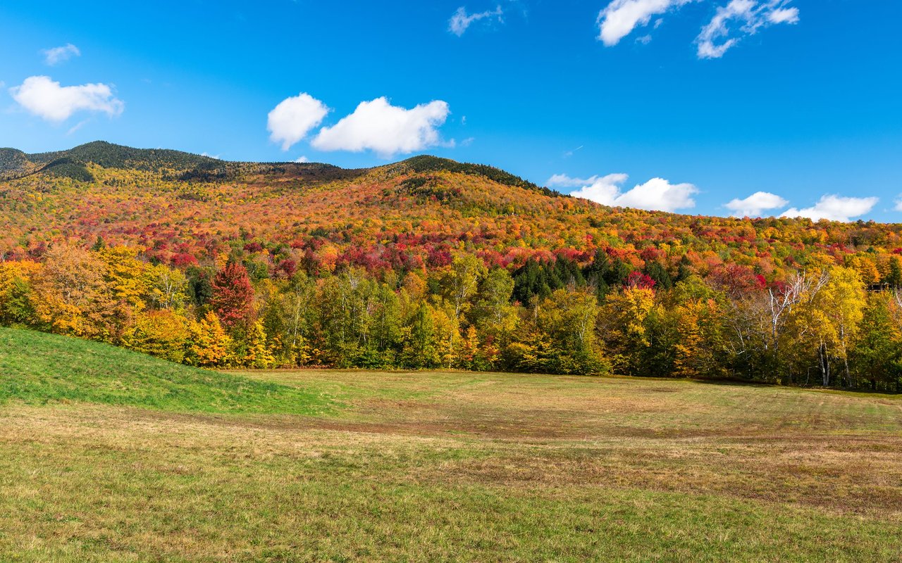 Stowe