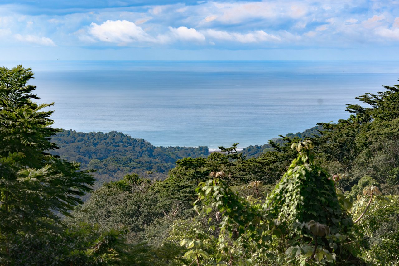 A Rare Thermal-Wellness Development Opportunity - Cacao Estates