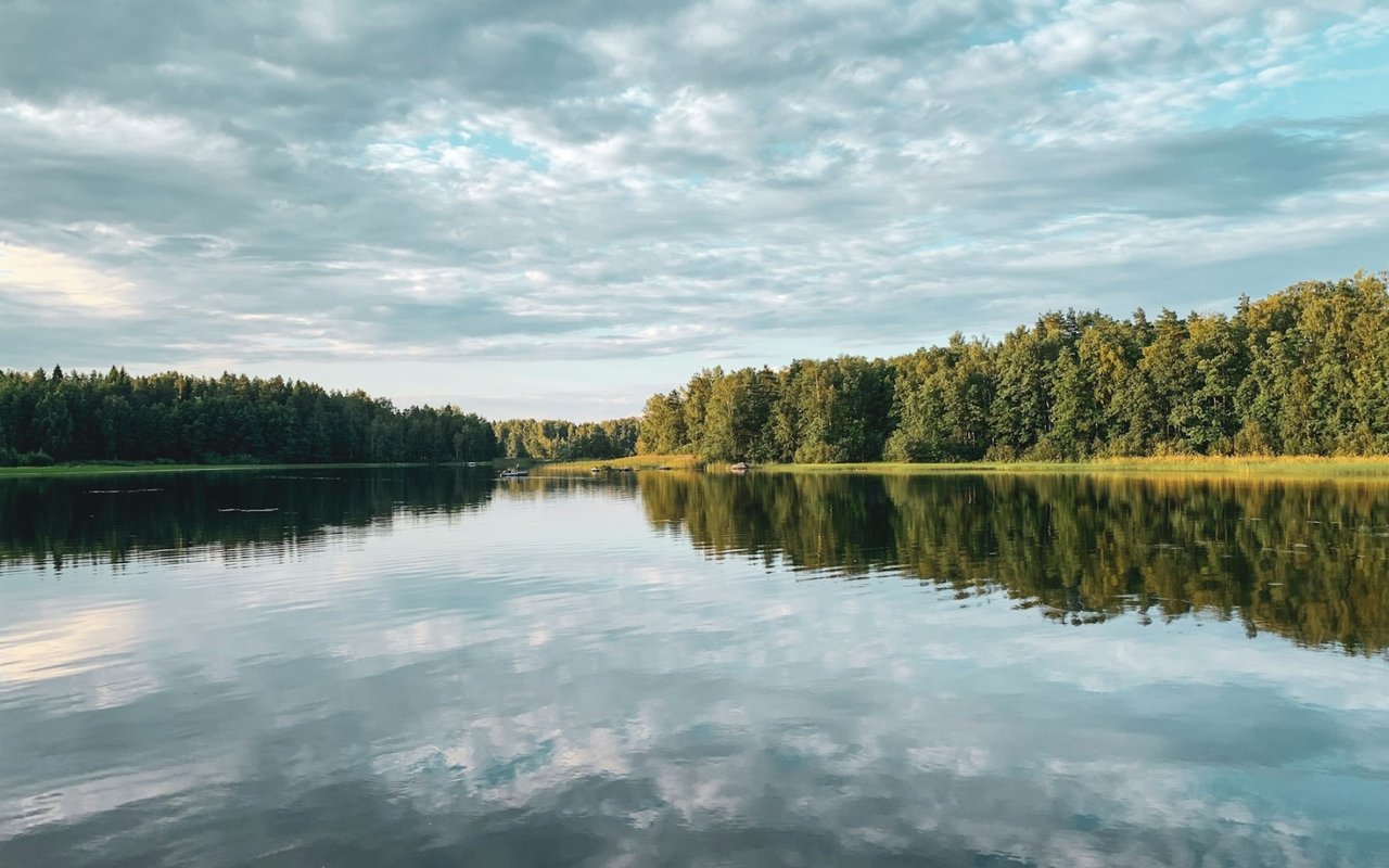 Tower Lakes