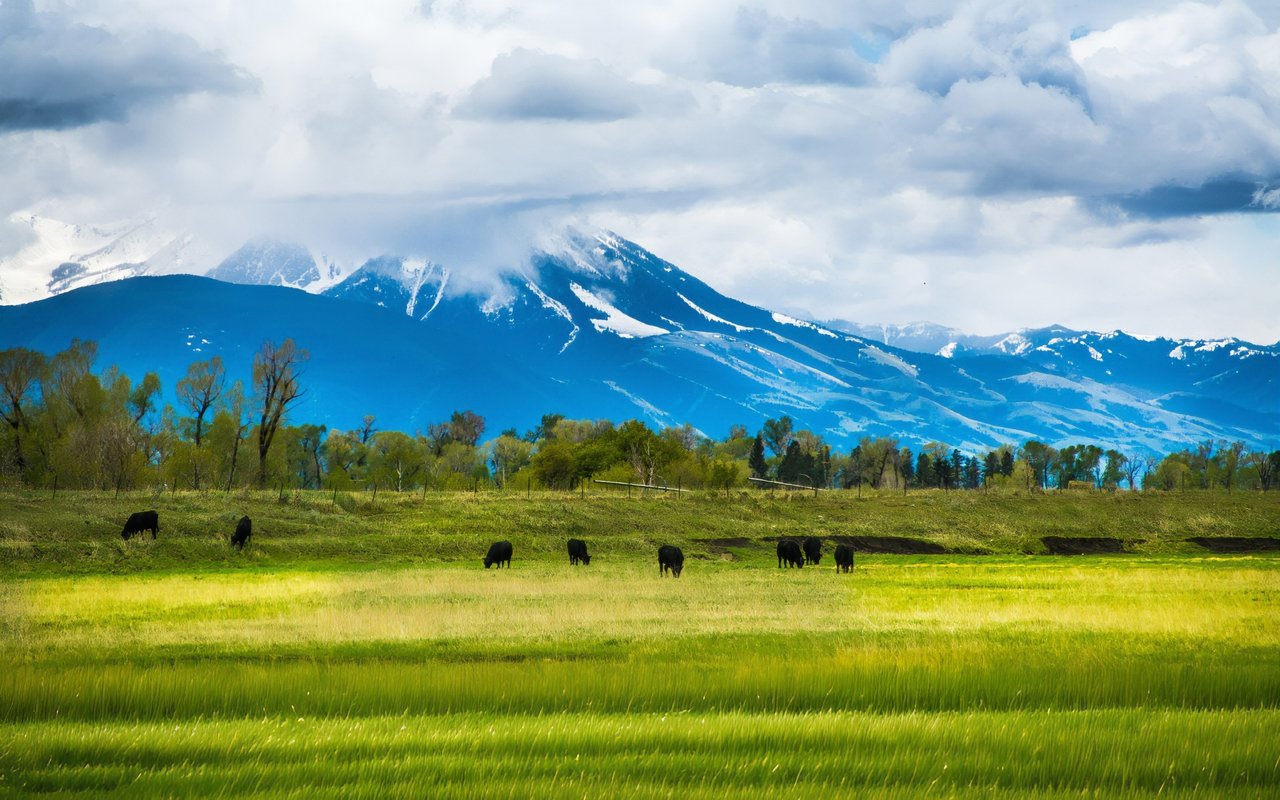 Paradise Valley