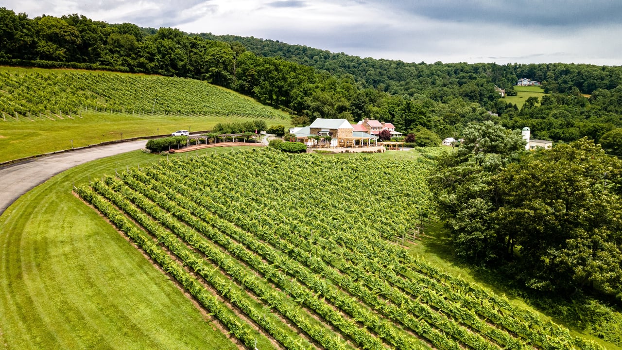 King Family Vineyards