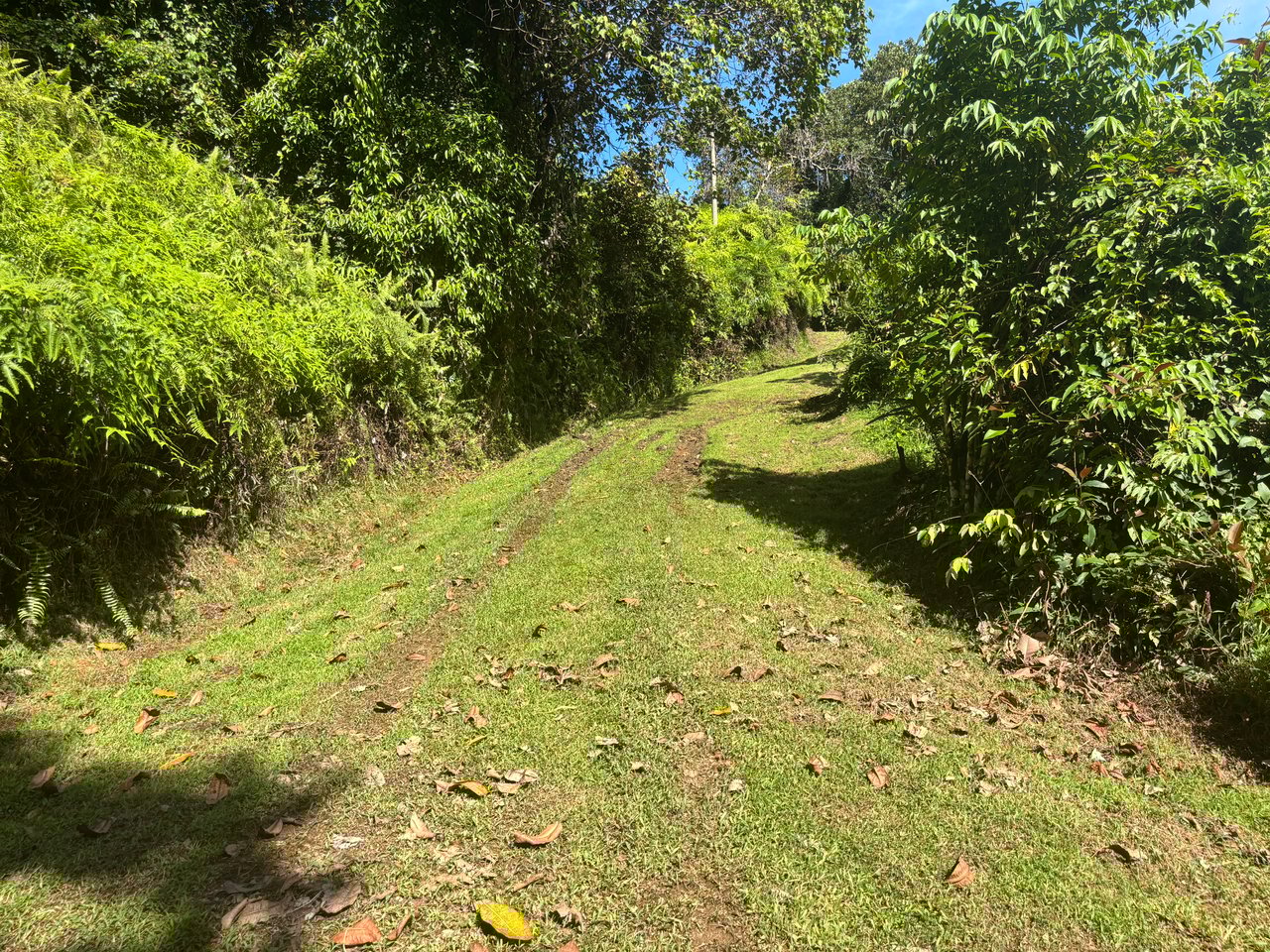 3.41 Acres, Ocean View Property In Ojochal With Legal Water!