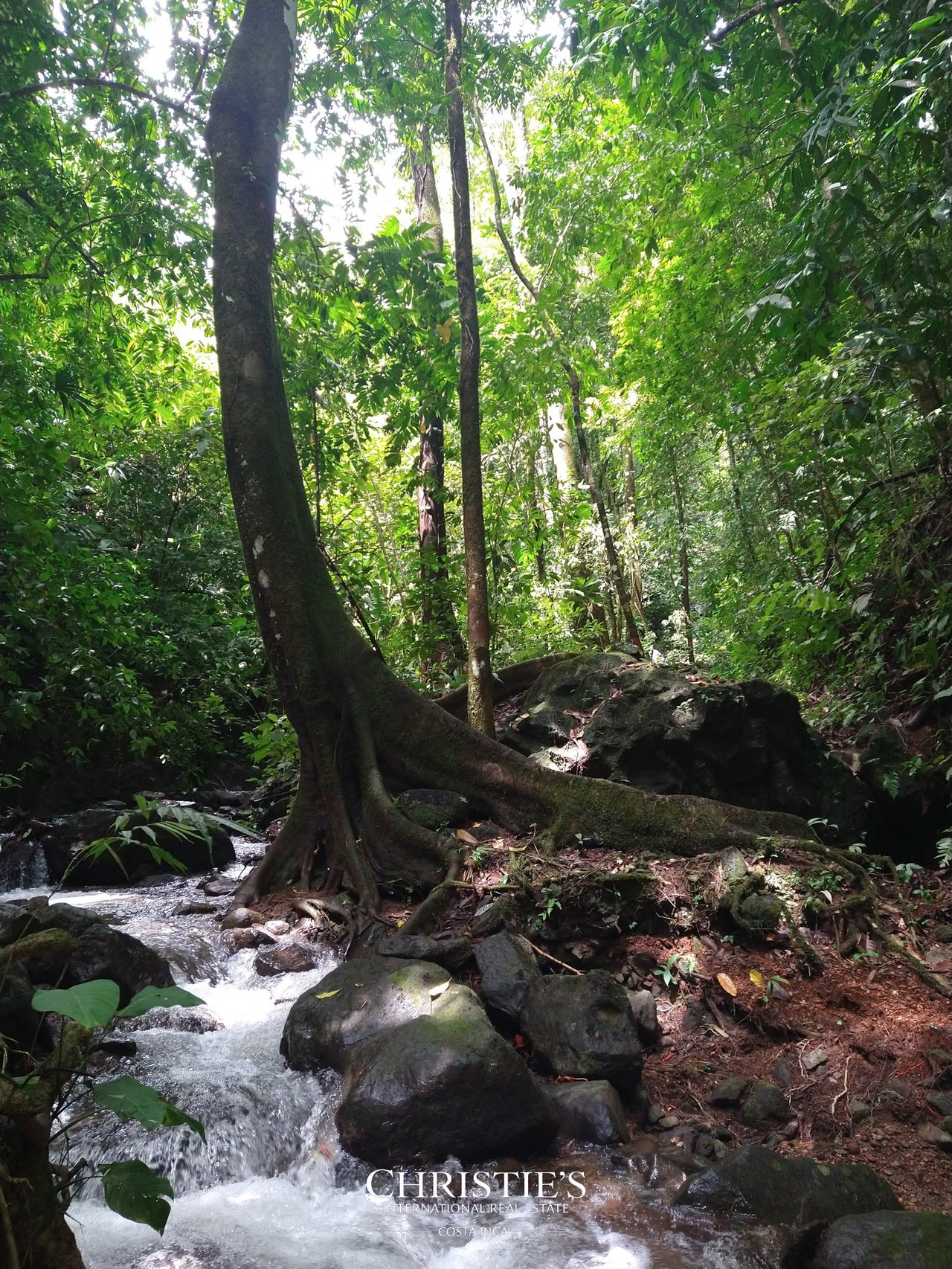 Finca Mar y Posas