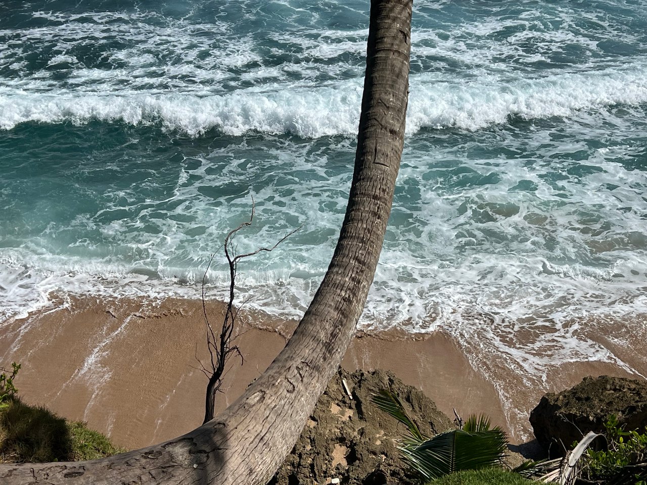 Treasure Point