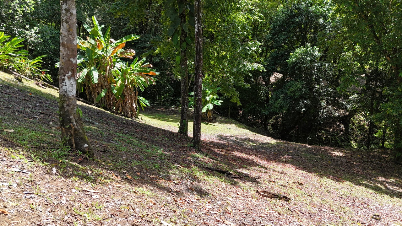 Walk to the Playitas beach, Titlled Building lot