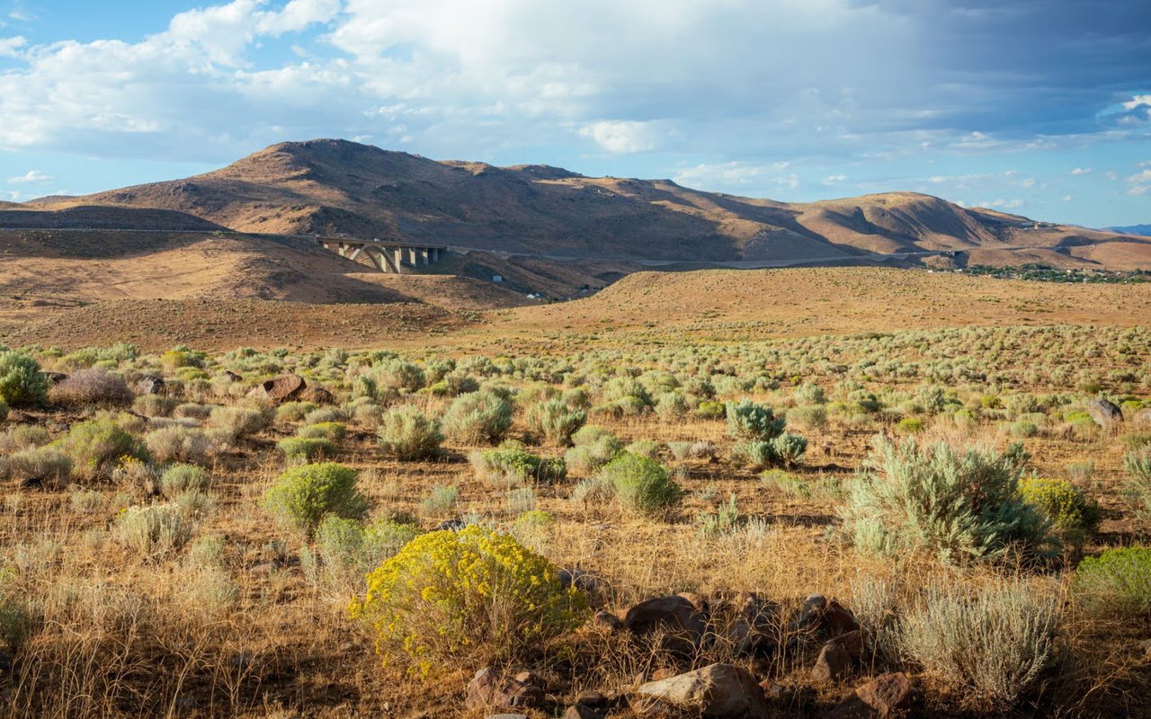Lemmon Valley