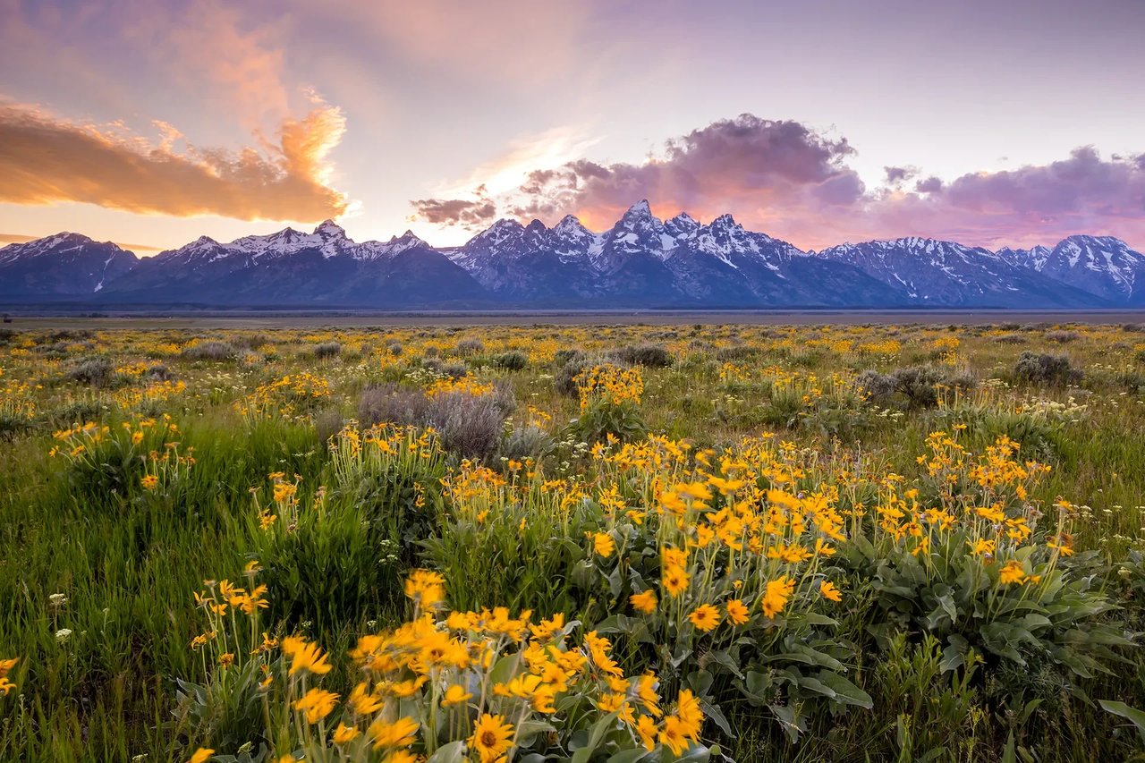 2024 Q1 Jackson Hole Market Report
