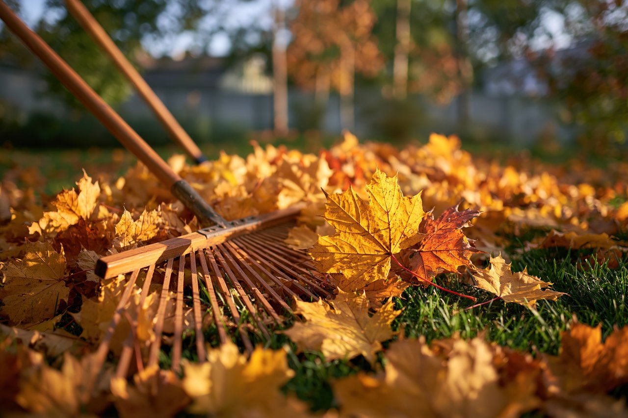 Don’t Let Leaves Ruin Your Curb Appeal: Fall Maintenance Tips for Tulsa-Area Home Sellers