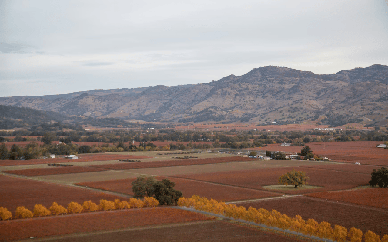 Napa Valley in Winter: Best Wineries to Visit in the Off-Season