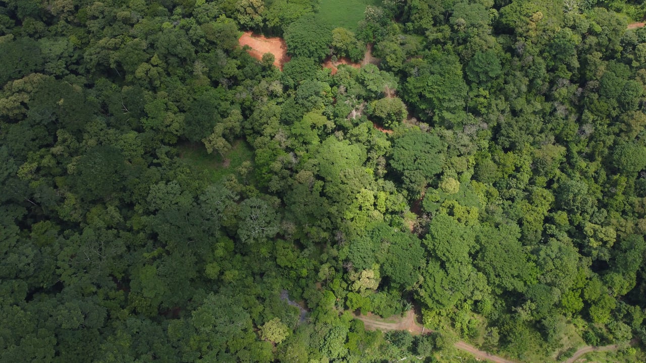 Jungle Oasis with River Frontage Near Dominical – 5.2 Acres of Pure Nature