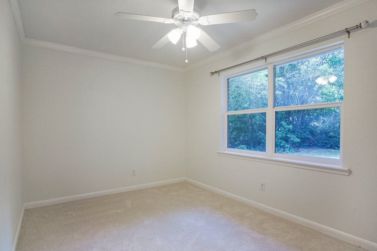 Empty beige room with a ceiling fan and a large window showing green trees outside. Soft carpet covers the floor, creating a calm and serene mood.