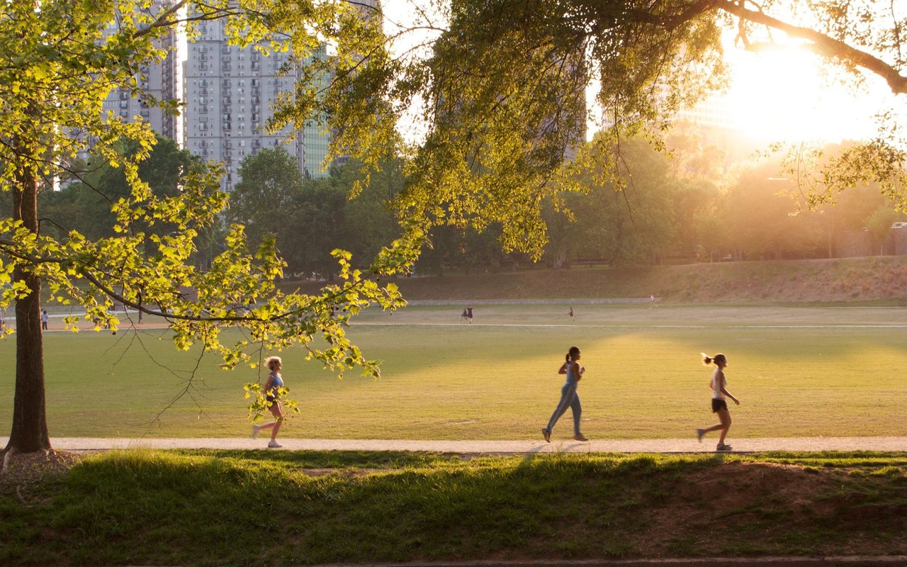 contact-form-background