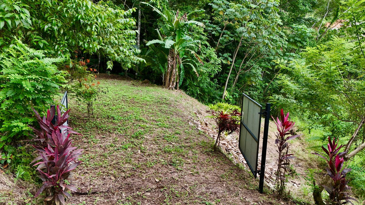 Tres Ríos Jungle Sanctuary | Ready-to-Build Lot Surrounded by Nature