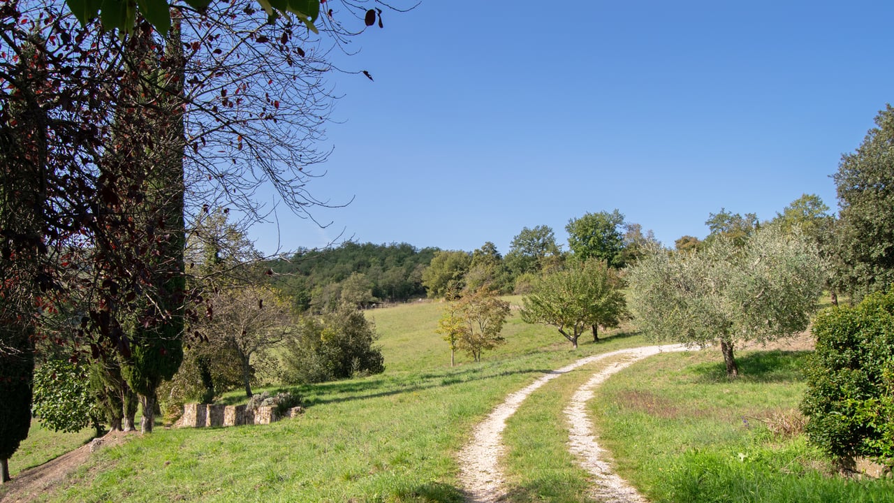 CASALE DEL PITTORE